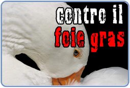 Contro il foie gras